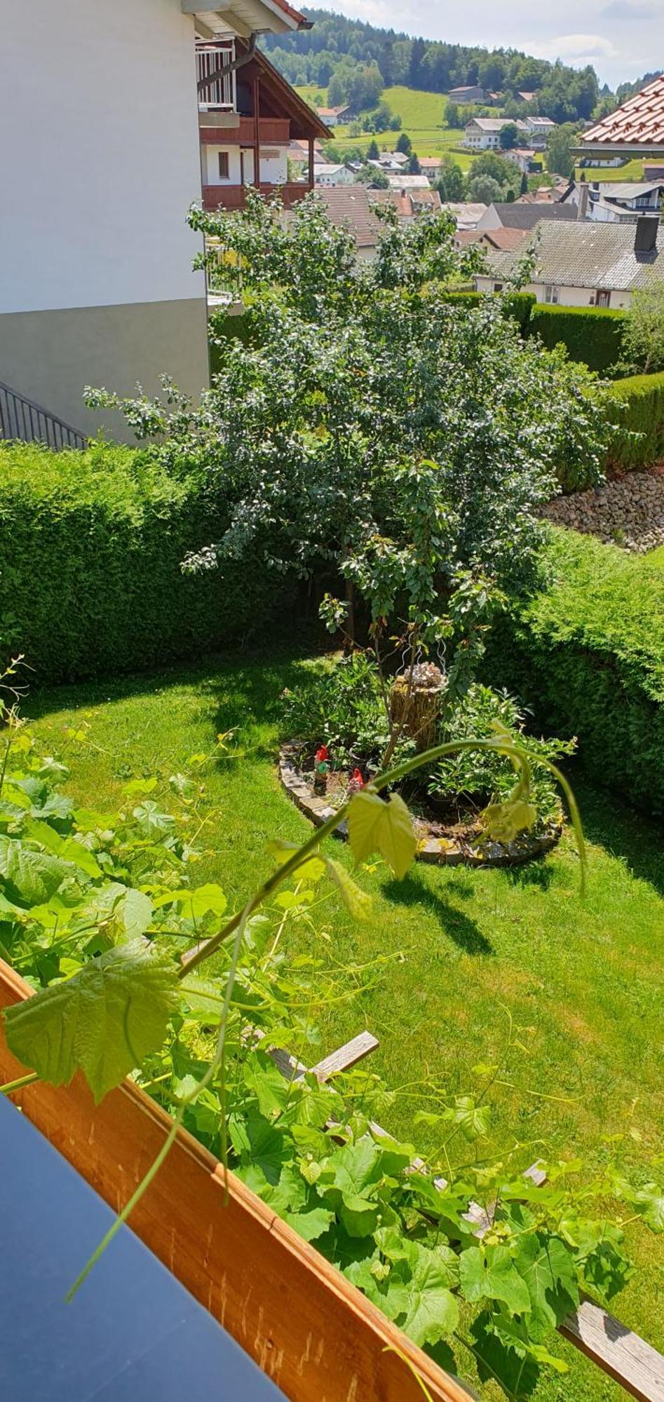 Apartment Haus Anna Bodenmais